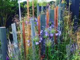 London College Of Garden Design graduates continue to excel