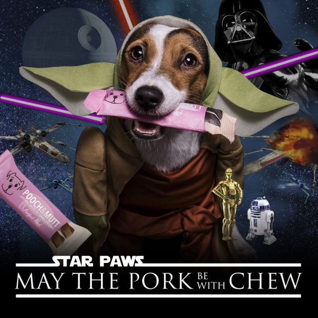 starpaws_1080x1080px_yoda_HR