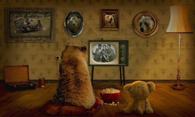 family-bears-1-1.jpg
