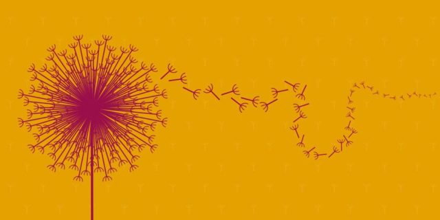 culture_seeds_992_496_1