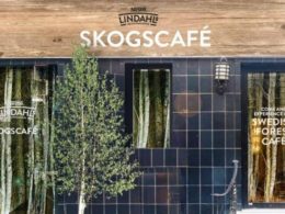 Inhale Sweden, Exhale London – live indoor forest brings balance to stressed city