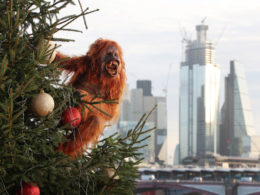 Ultra-realistic animatronic ape appears across London to highlight the threat to the survival of the species
