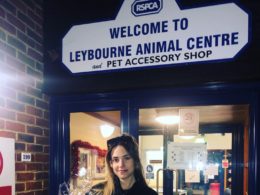 Electromagnetic pad therapy company donates gift hampers for rescue dogs this Christmas