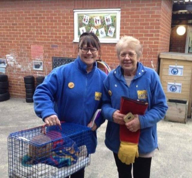 L to R - Debbie Priestley and Kathy Edwards - please credit Cats Protection