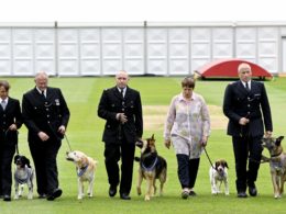 Animal OBEs awarded to Police Dogs for London terror attack heroics