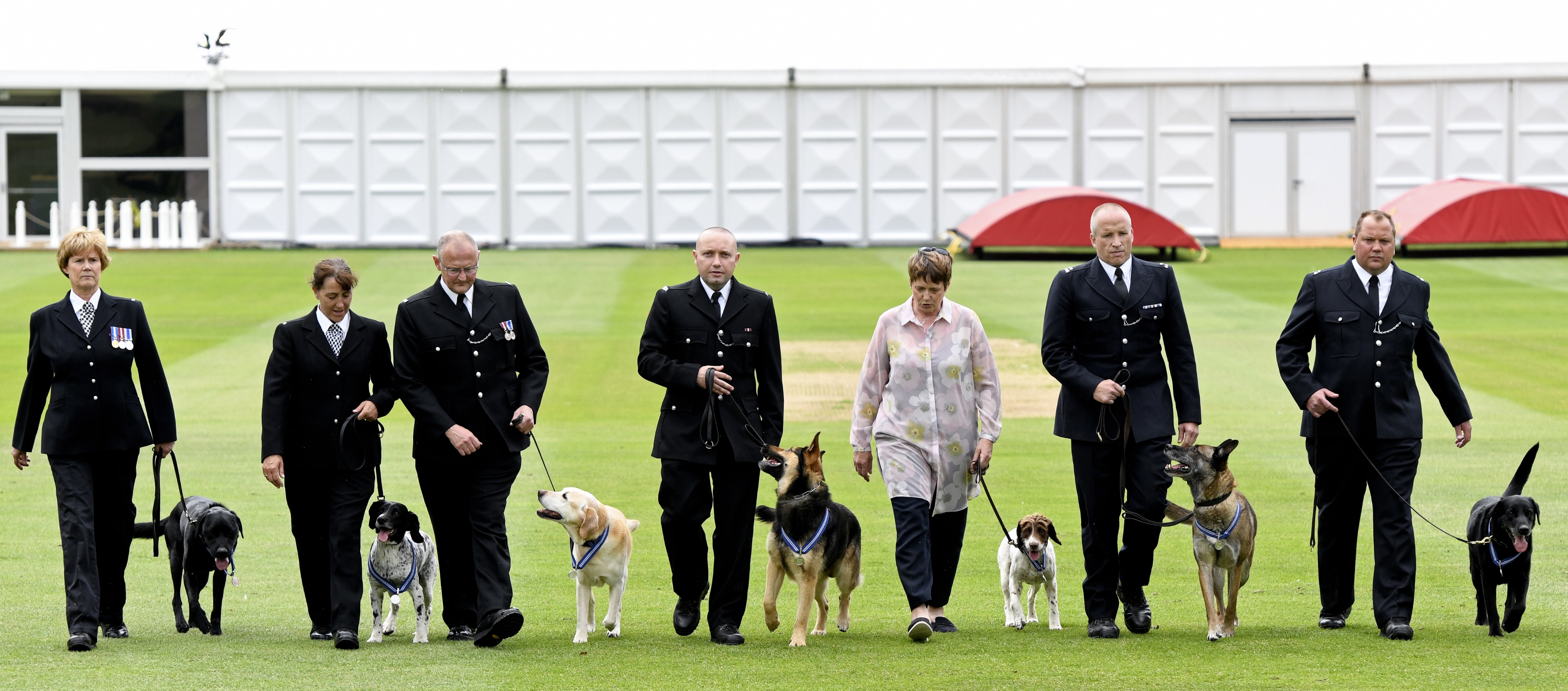 Animal OBEs awarded to Police Dogs for London terror attack heroics ...