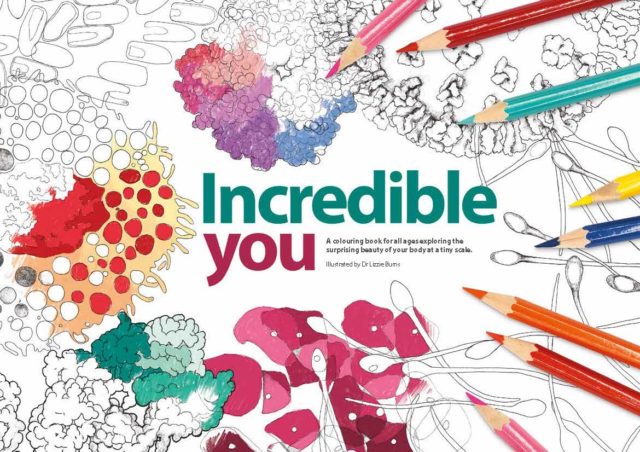 Incredible You_Page_01