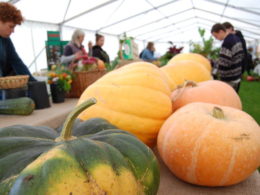 Inside The 21st London Harvest Festival