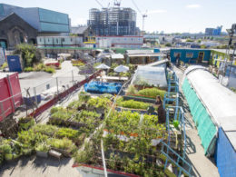 Five things to do in King’s Cross this Summer