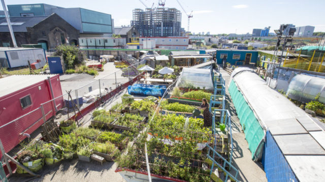 King's Cross Skip Gardens