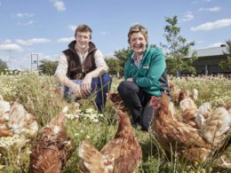 Morrisons farming project helps increase bee numbers by 55%