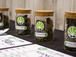 Legal Hemp: Let’s discover the real CBD benefits for the body