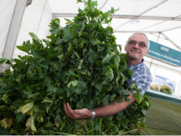 Giant vegetable world record holder who is given months to live wants to defy odds and compete for another title