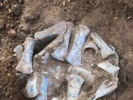 The largest ever Bronze Age hoard in London has been discovered
