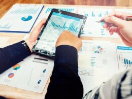 Startup Niches That Pay Off in One Year
