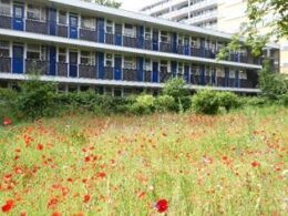 London success in RHS Britain in Bloom competition