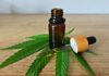 How Is CBD Hash Made? From Hemp Trichomes to the Finished Press