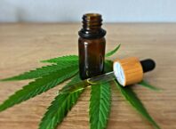 How Is CBD Hash Made? From Hemp Trichomes to the Finished Press