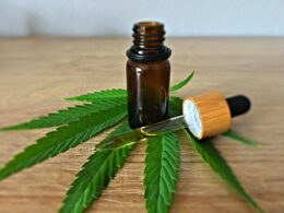 How Is CBD Hash Made? From Hemp Trichomes to the Finished Press