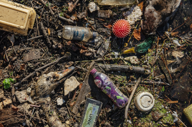 debris