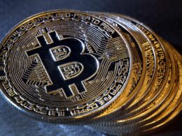 Professional guide for all bitcoin traders