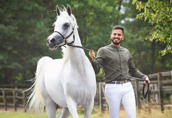 mo breeding horse