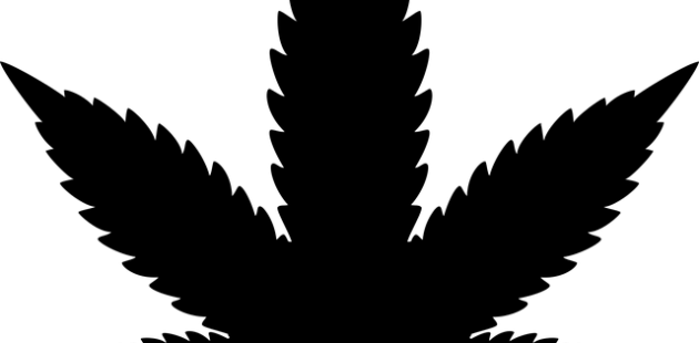 drugs-3322489_640-630x310