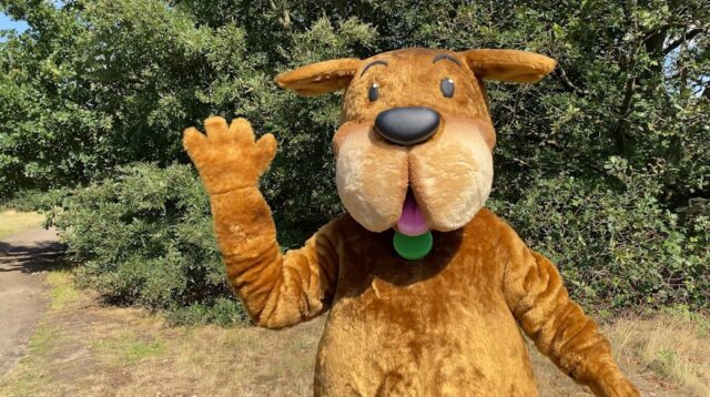 waggy-002.jpg
