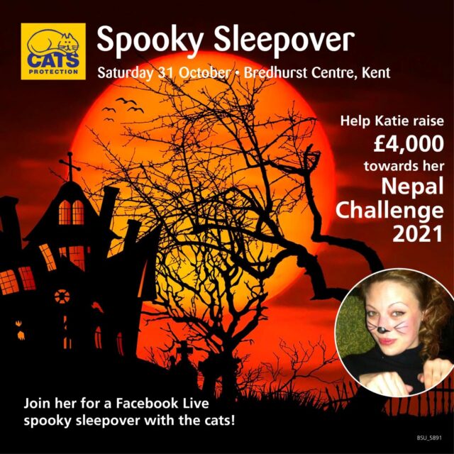 Bredhurst Halloween Sleepover 2