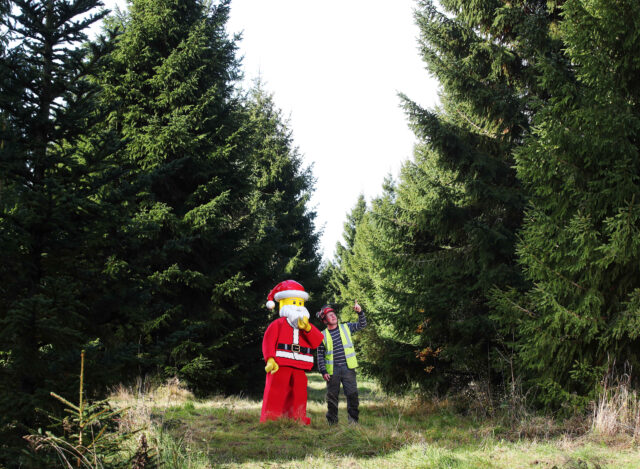 LEGO Santa chooses Covent Garden Christmas tree, Solihull, 27th October 2020