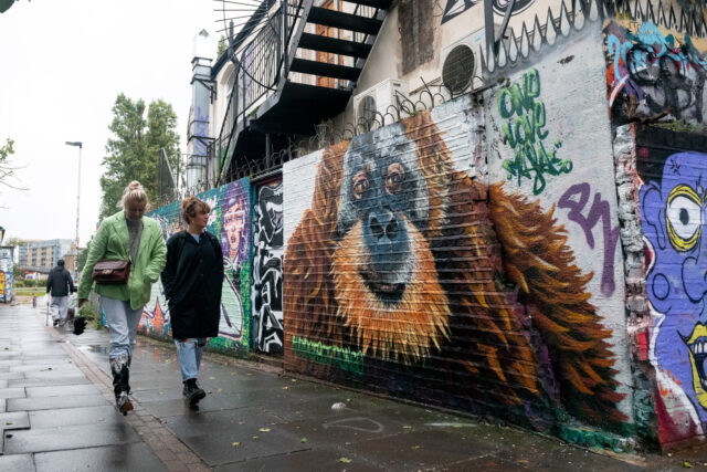 Orangutan Meridian Murals 28