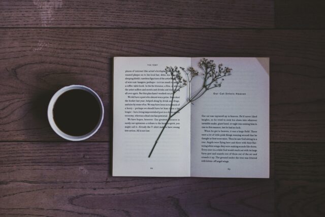 florencia-viadana-2KOib8ciAng-unsplash