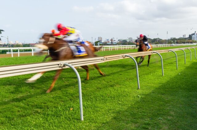 horse racing