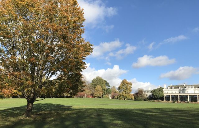 Cannizaro Park - main lawn - photo by Richard True