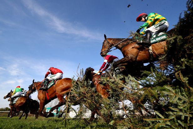 horse grand national