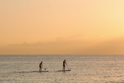 paddleboarding water sea