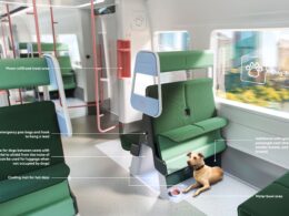 A third of the capital’s dog owners now planning on taking their pups to work with them