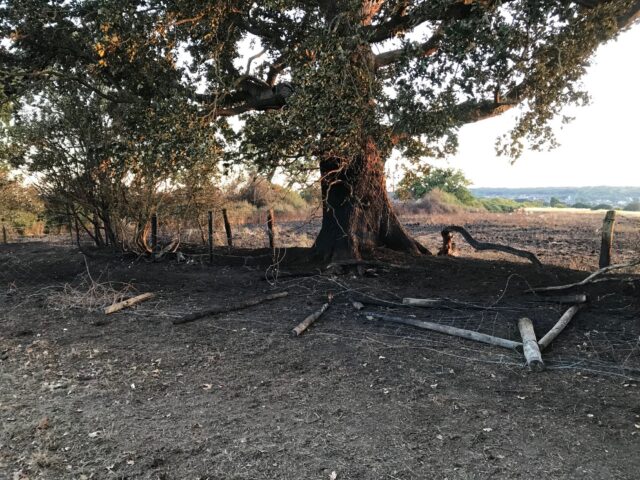 MerryhillWoodfireinBusheyWTML