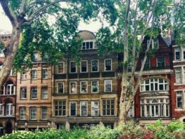 Six remote places to walk your dog in London