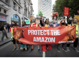 Hundreds of protesters gather at Brazilian Embassy in London to stand in solidarity with Indigenous Peoples