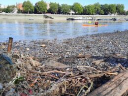 Charity’s volunteers pick 27,000 wet wipes out of the Thames at Battersea
