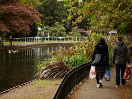 Sutton Council to introduce modern ways of monitoring local parks