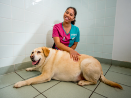 Pet obesity paw-demic: thousands of London pets have piled on the pounds over lockdown