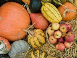 Awaken your senses with Taste of Autumn at RHS Garden Wisley