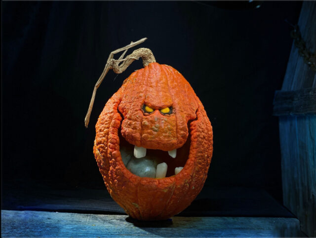 Research reveals the humble pumpkin brings communities together