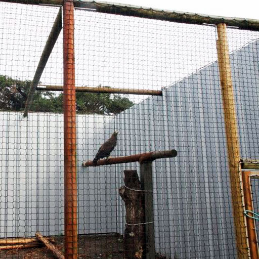 bird-netting-2