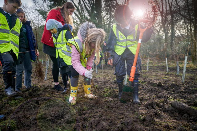 Tree_Planting_SJ_037 (2) (1) (1)