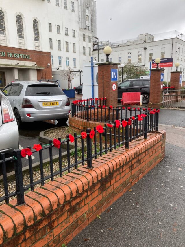 Poppies outside St Helier