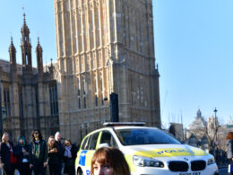 Member Of The Public Arrested As Animal Rebellion Supporters Take Peaceful Action In Westminster