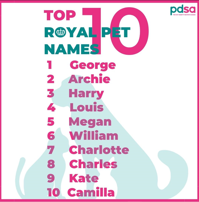 Future King tops the poll of most popular Royal pet names London Post